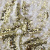 Трикотажное полотно, Сетка с пайетками, шир.130 см, #315, цв.-белый/золото - купить в Самаре. Цена 693.39 руб.