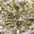 Трикотажное полотно, Сетка с пайетками, шир.130 см, #315, цв.-белый/золото - купить в Самаре. Цена 693.39 руб.