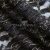 Кружевное полотно XD LACE 1-4, 80 гр/м2, шир.150см, цвет чёрный - купить в Самаре. Цена 245.94 руб.