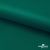Ткань подкладочная Таффета, 19-5420, 53 г/м2, антистатик, шир. 150 см, вечнозеленый - купить в Самаре. Цена 57.16 руб.