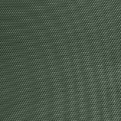 Оксфорд (Oxford) 240D 19-5917, PU/WR, 115 гр/м2, шир.150см, цвет т.зелёный - купить в Самаре. Цена 154.09 руб.