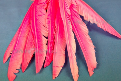 Декоративный Пучок из перьев, перо 25см/розовый - купить в Самаре. Цена: 14.40 руб.