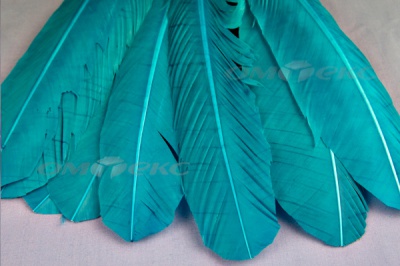 Декоративный Пучок из перьев, перо 24см/голубой - купить в Самаре. Цена: 12.19 руб.