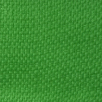 Ткань подкладочная Таффета 17-6153, 48 гр/м2, шир.150см, цвет трава - купить в Самаре. Цена 54.64 руб.