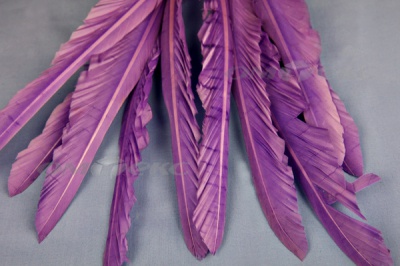 Декоративный Пучок из перьев, перо 25см/фиолетовый - купить в Самаре. Цена: 12.19 руб.