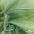Ткань органза, 100% полиэстр, 28г/м2, шир. 150 см, цв. #27 зеленый - купить в Самаре. Цена 86.24 руб.
