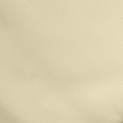 Ткань подкладочная Таффета 14-1014, антист., 54 гр/м2, шир.150см, цвет бежевый - купить в Самаре. Цена 65.53 руб.