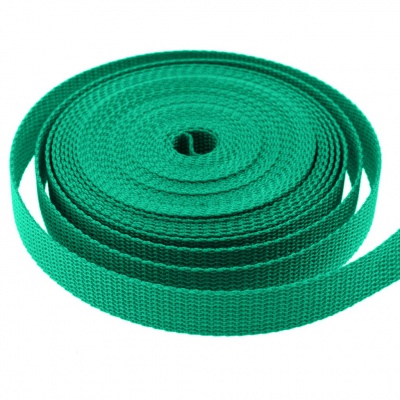 Стропа текстильная, шир. 25 мм (в нам. 50+/-1 ярд), цвет яр.зелёный - купить в Самаре. Цена: 397.52 руб.